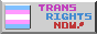 88x31 button that has a transgender flag with text 'TRANS RIGHTS NOW!'