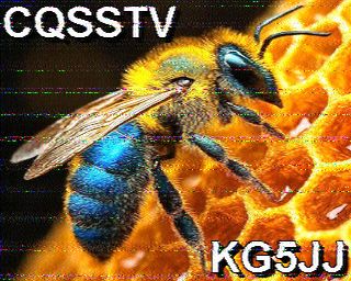 SSTV image of a bee labeled "CQSSTV KG5JJ"
